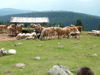 Europäischer Fernwanderweg über den Tschögglberg - Jenesien - #3 - suedtirol.info