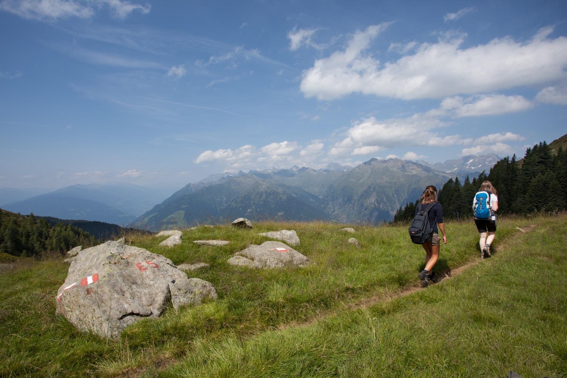 European Hiking Route E5 in the Passeiertal Valley Hafling/Avelengo 1 suedtirol.info