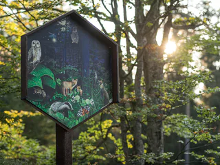 Erlebnisweg BienenWald in Steinegg - Karneid - #5 - suedtirol.info