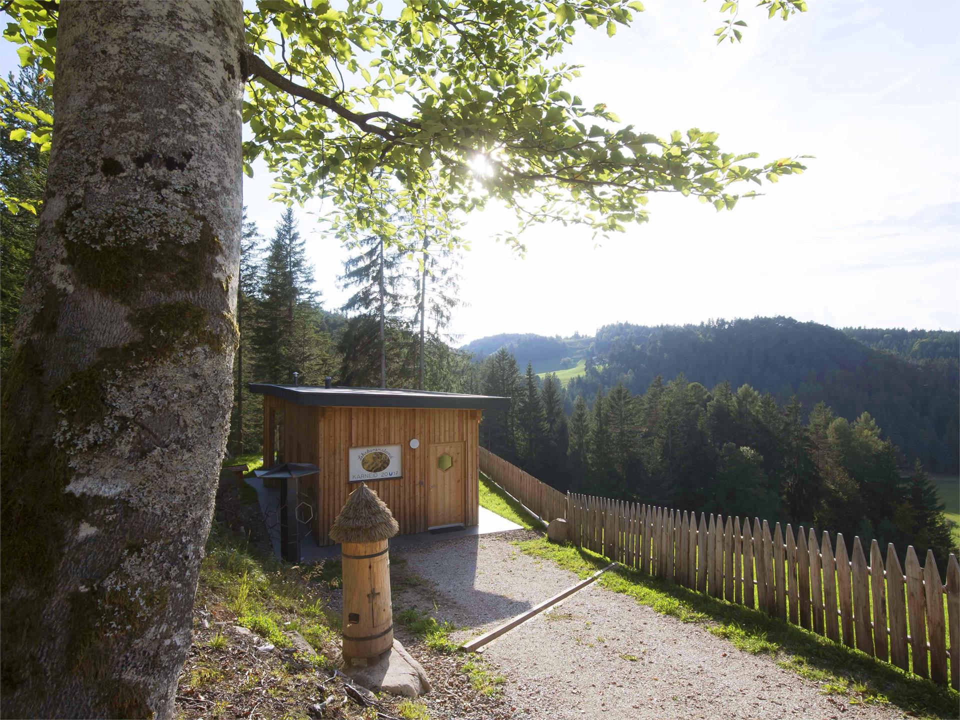 Erlebnisweg BienenWald Karneid 2 suedtirol.info