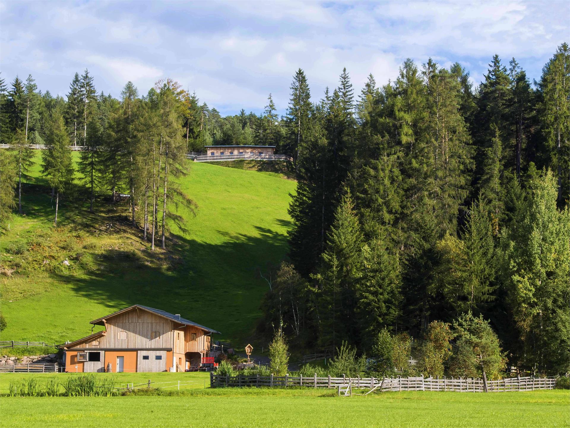 Erlebnisweg BienenWald Karneid 1 suedtirol.info