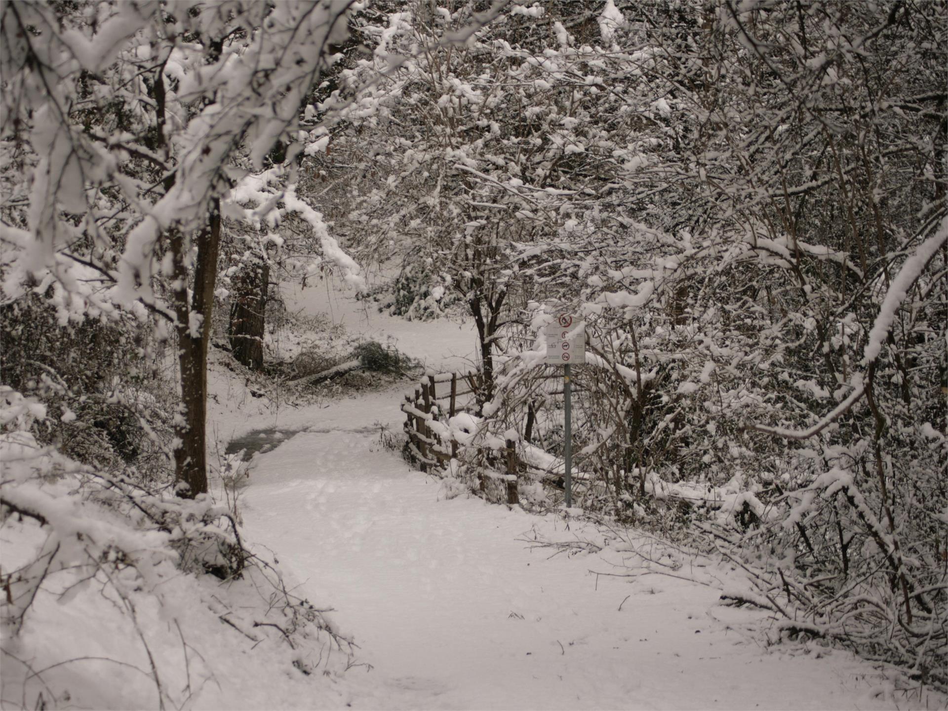 Percorso avventura - natura "Vorbichl" in inverno Tesimo 1 suedtirol.info