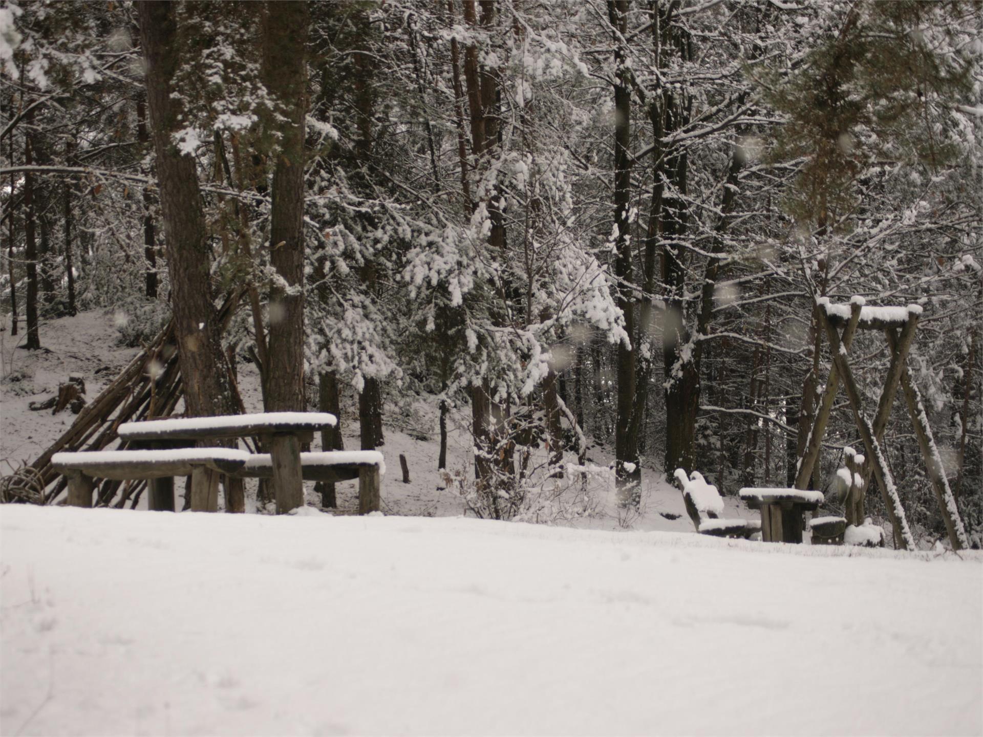 Percorso avventura - natura "Vorbichl" in inverno Tesimo 2 suedtirol.info