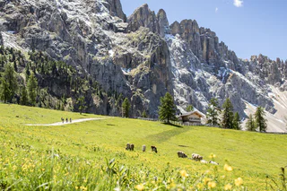 Eggentaler Bergkino – Latemar - Welschnofen - #3 - suedtirol.info
