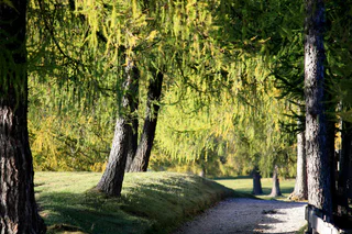 Sagenweg am Salten