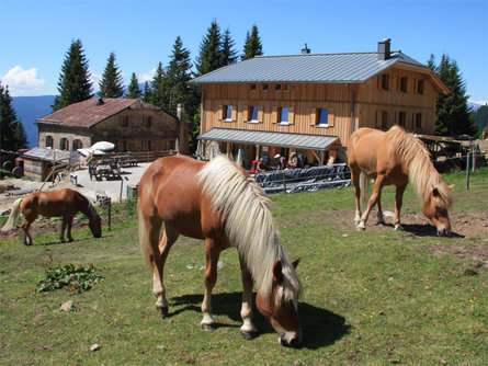 Merano High Mountain Trail Eastwards – from Hohe Wiege up to the Hochganghaus Mountain Hut Partschins/Parcines 7 suedtirol.info