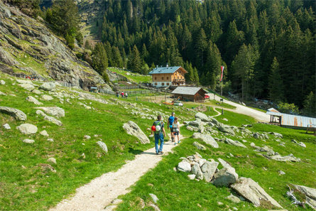 Merano High Mountain Trail Eastwards – from Hohe Wiege up to the Hochganghaus Mountain Hut Partschins/Parcines 1 suedtirol.info