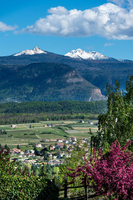 Altavia di Appiano & Forcolana Eppan an der Weinstaße/Appiano sulla Strada del Vino 2 suedtirol.info