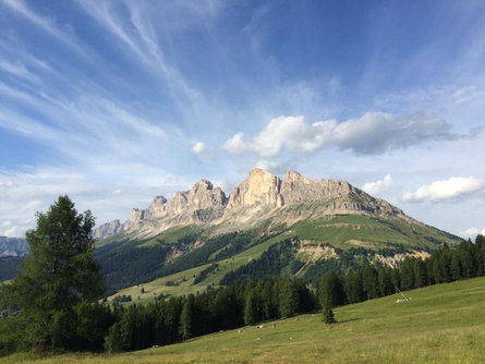 Family hike from Passo Costalunga to the Radura di Mezzo and Latemar meadows Welschnofen/Nova Levante 1 suedtirol.info