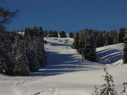 Floralpina Kastelruth/Castelrotto 2 suedtirol.info