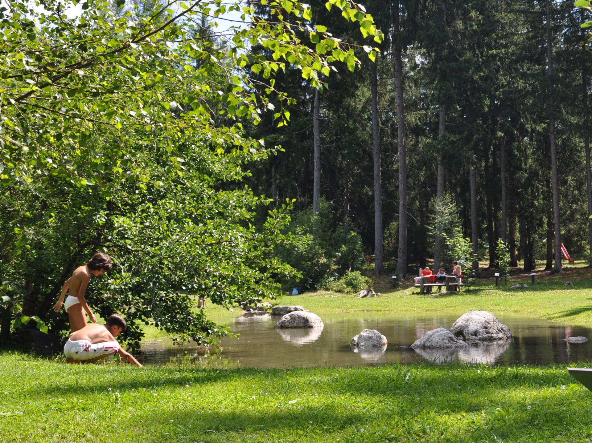 Passeggiata per famiglie: "Grieswaldile" Dobbiaco 1 suedtirol.info