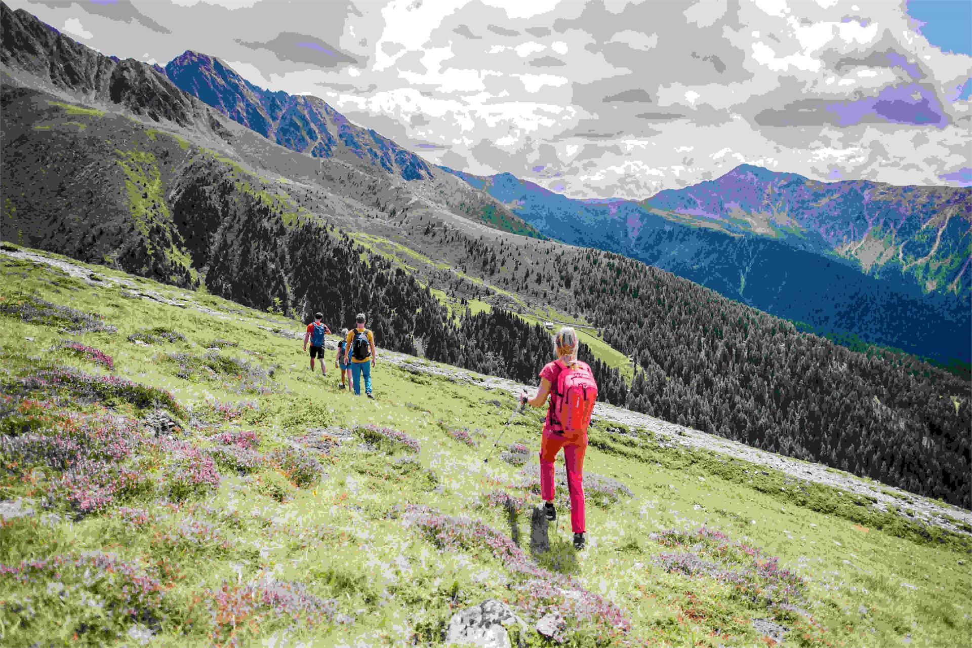 Sentiero escursionistico di lunga percorrenza: Sentiero circolare lungo i confini in Val Casies Valle di Casies 1 suedtirol.info