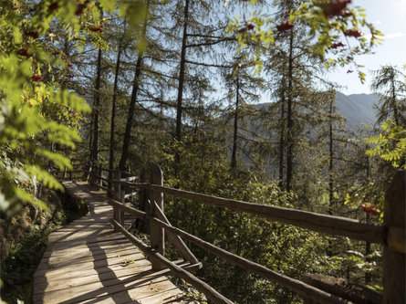 La roggia Oberwaal Malles 1 suedtirol.info