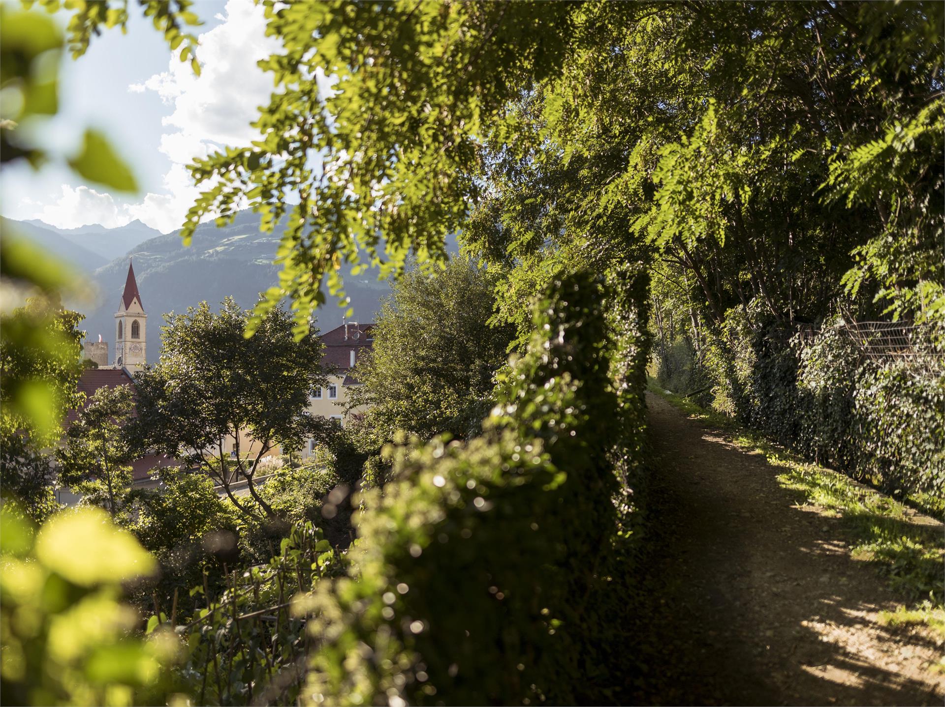 Oberwaal Mals 1 suedtirol.info