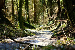 Fluss im Frühlingstal