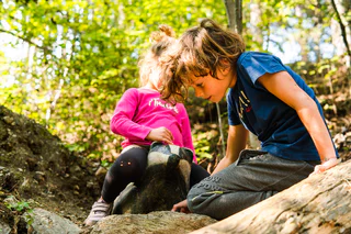 Familienwanderung auf dem Waldtierpfad Gumperle - Prad am Stilfser Joch - #4 - suedtirol.info