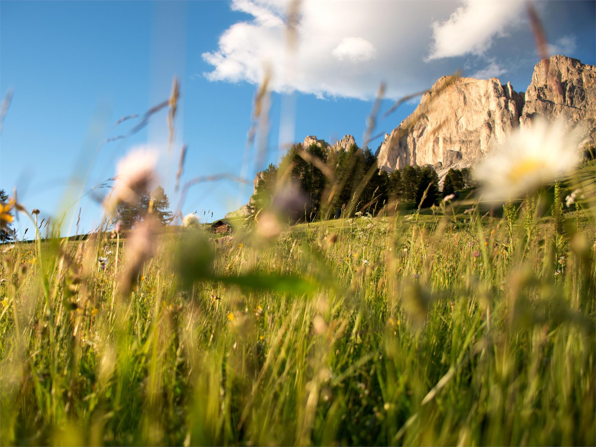 Fünftageswanderung Perlenrundwanderweg - 2. Etappe Karneid 2 suedtirol.info