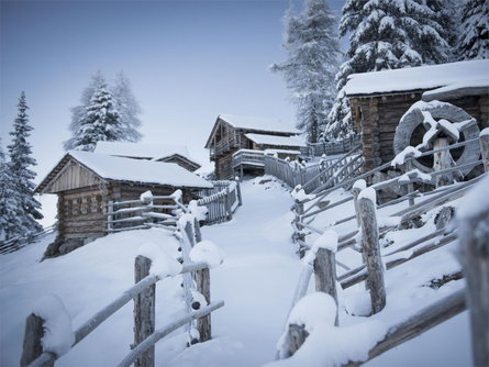 Family path in winter: Olperl alpine circuit for families Sexten/Sesto 1 suedtirol.info