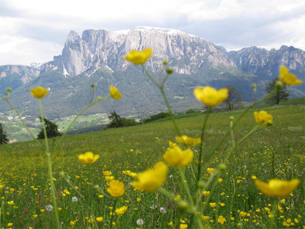 Fenn Promenade Ritten/Renon 2 suedtirol.info