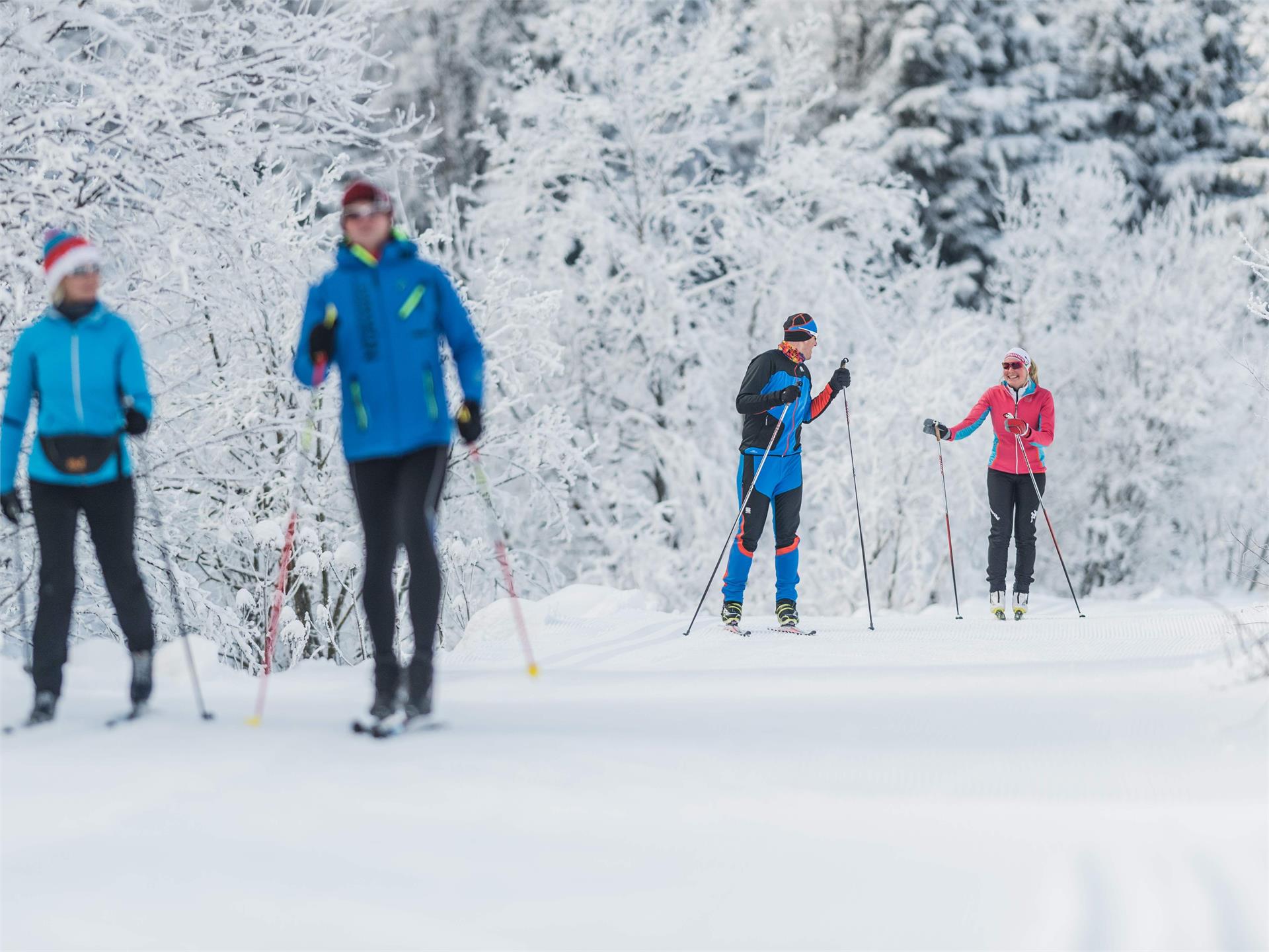 Section Cross Country Track Val Casies Valley: Untersinner-Binta Pub Gsies/Valle di Casies 1 suedtirol.info