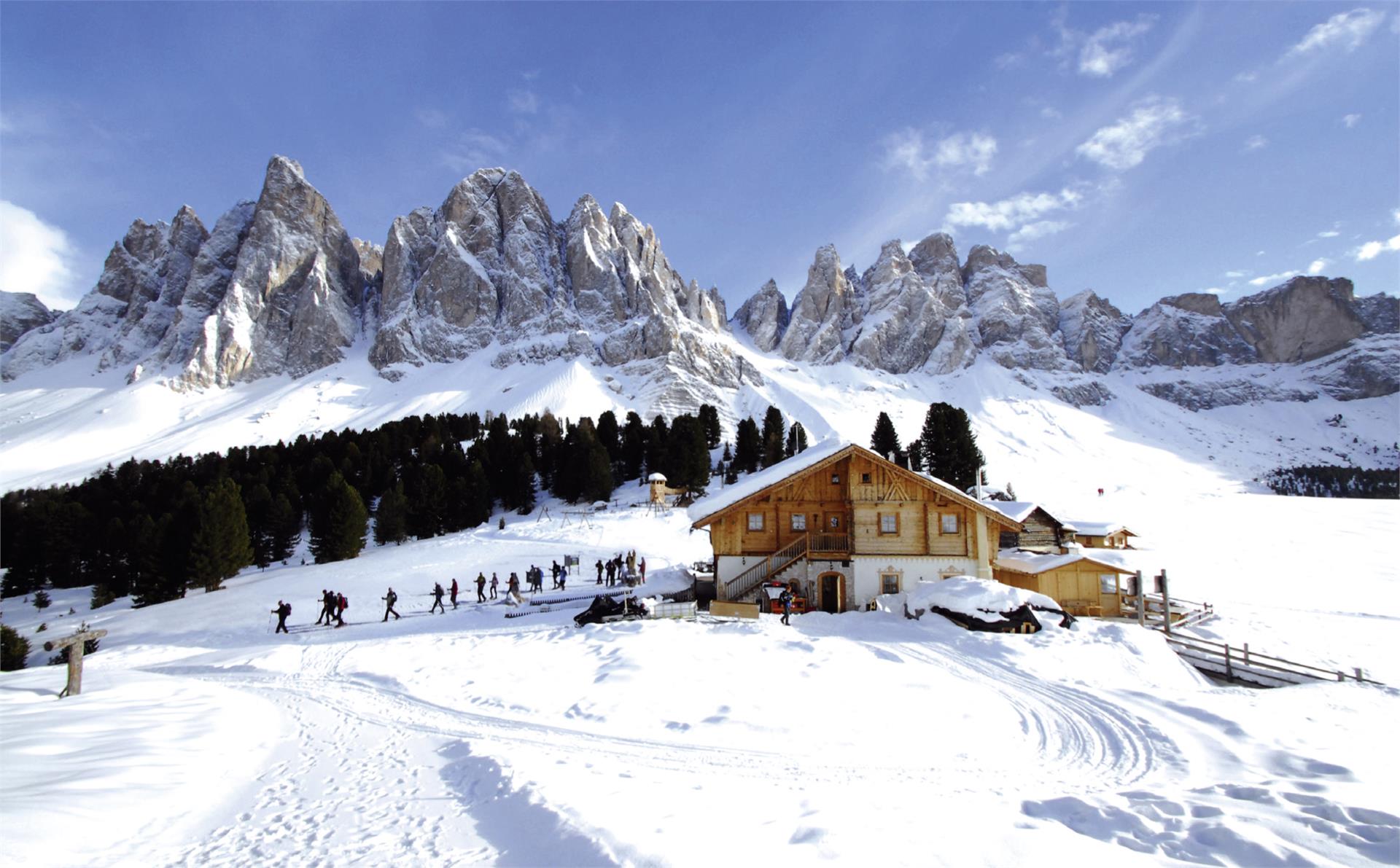 Geisler Alm - Ranui Funes 1 suedtirol.info