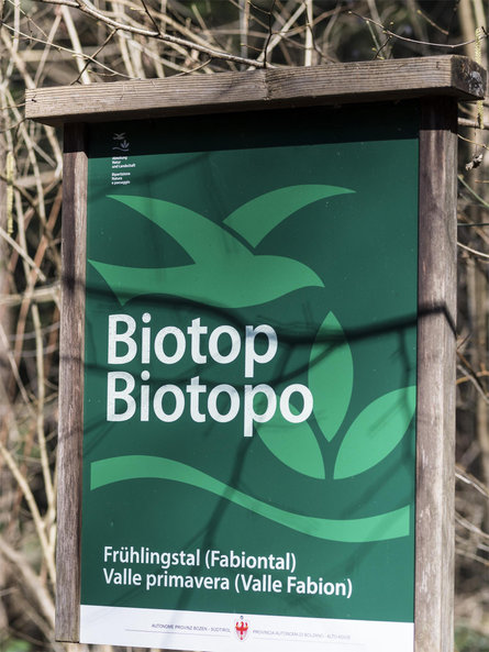 Escursione lunga nella Valle della Primavera Caldaro sulla Strada del Vino 5 suedtirol.info