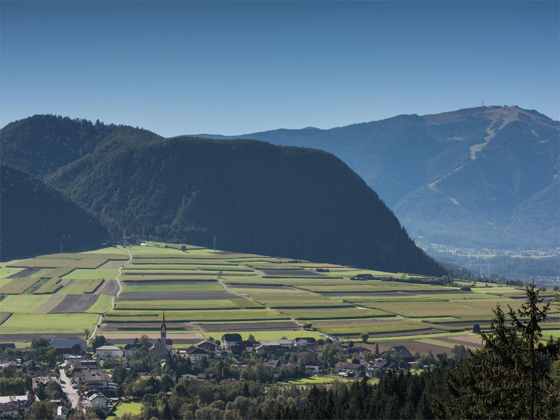 Gaisinger Waalweg Gais 1 suedtirol.info