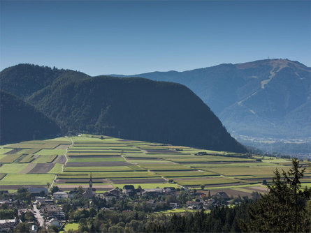 Gaisinger "Waalweg" Gais 1 suedtirol.info