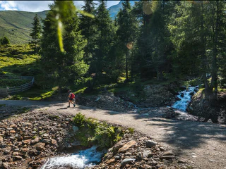 Gemütlicher Almspaziergang zur Hirzerhütte - Schenna - #3 - suedtirol.info
