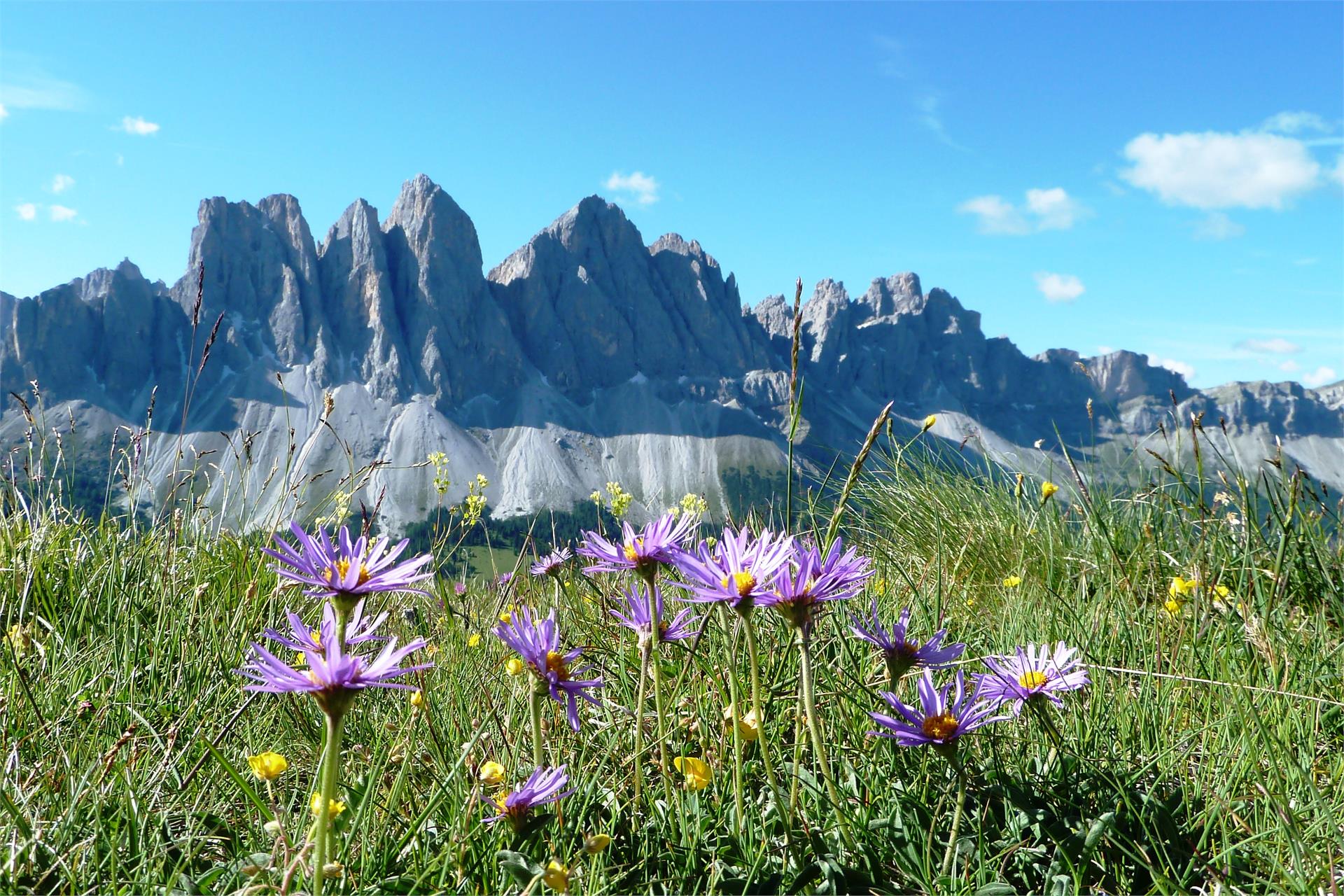 Günther Messner Trail Villnöss/Funes 1 suedtirol.info