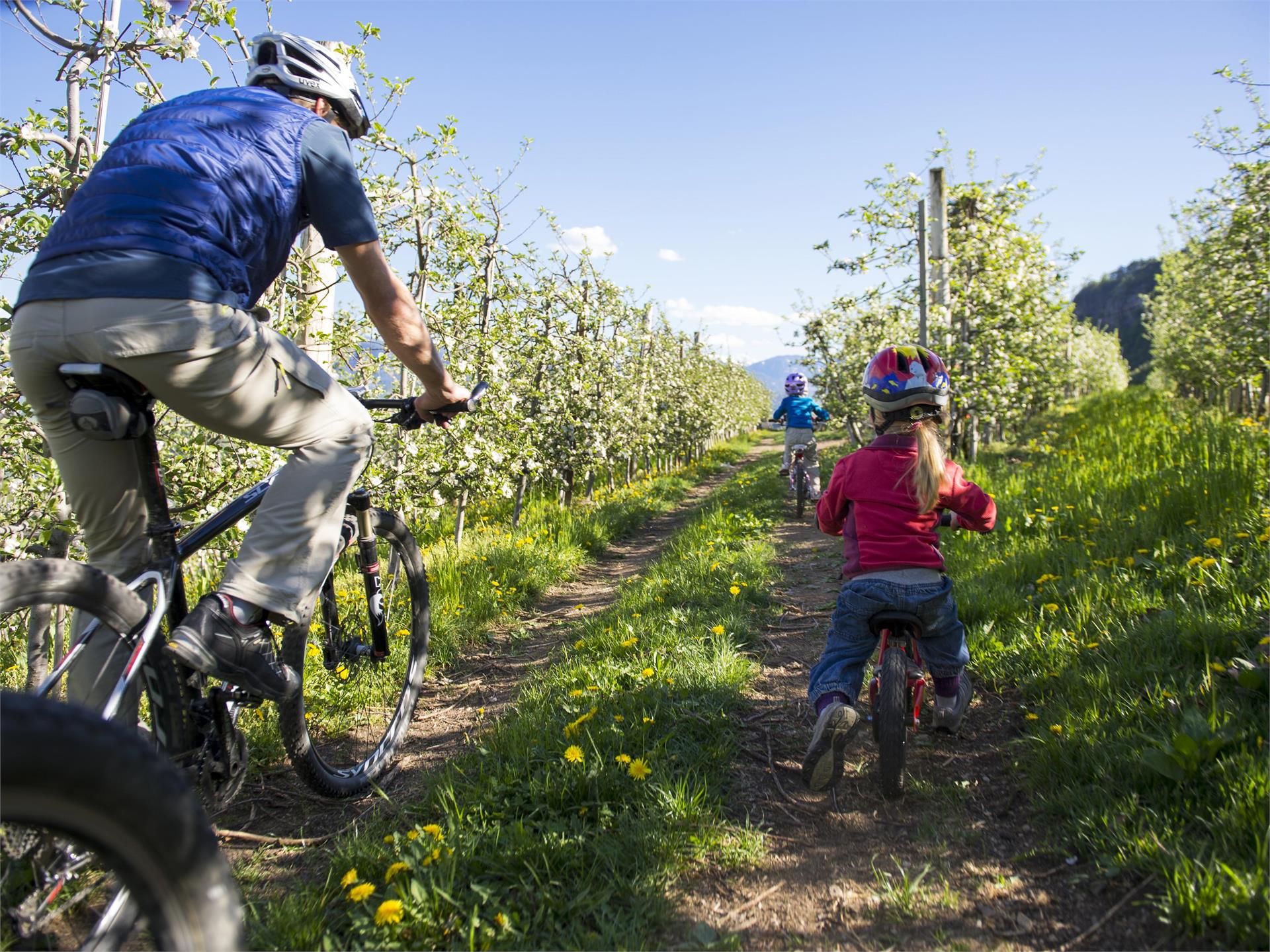 Tour attraverso la Val d'Adige da Nalles Nalles 1 suedtirol.info