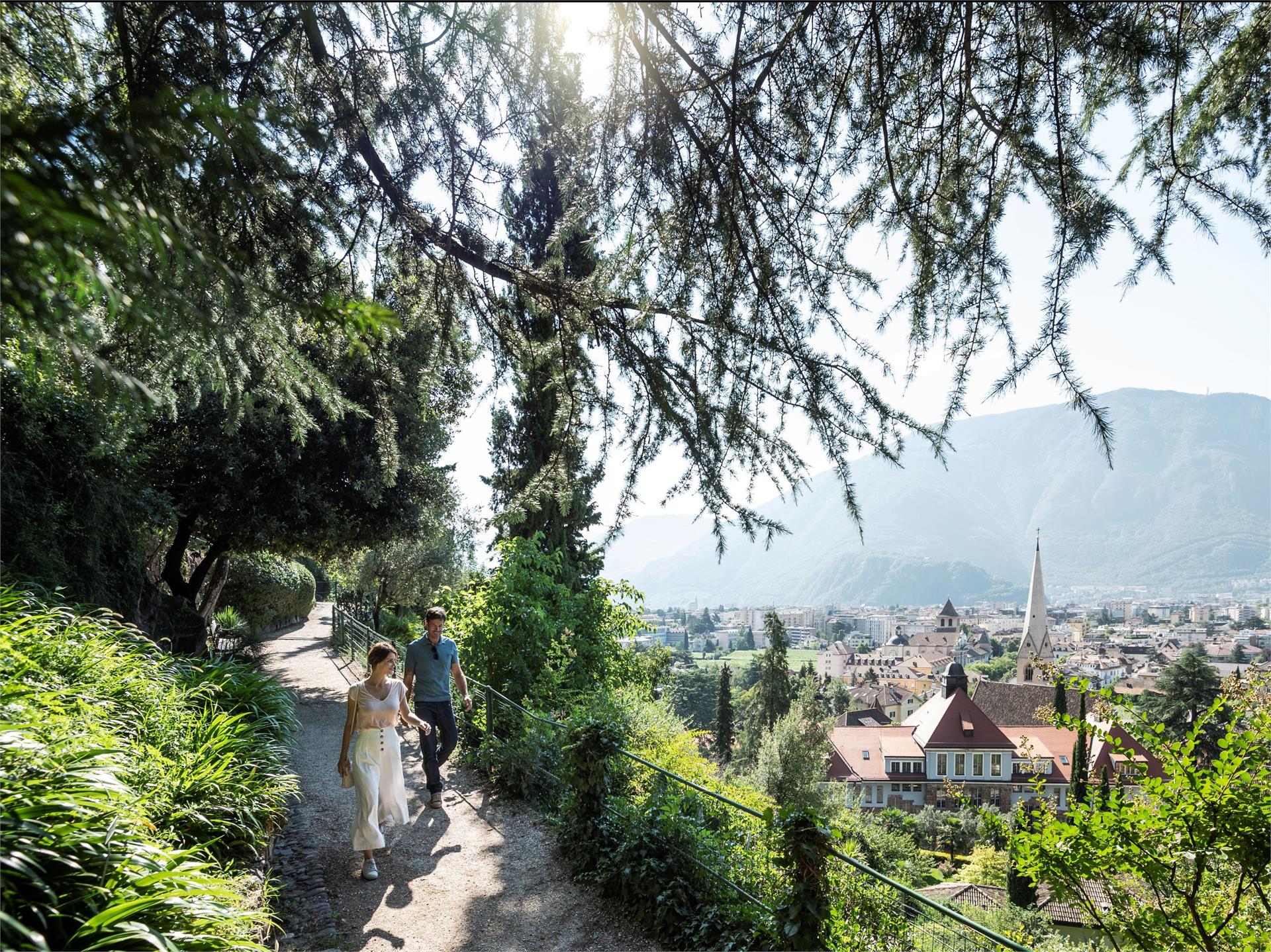 Passeggiata del Guncina Bolzano 1 suedtirol.info