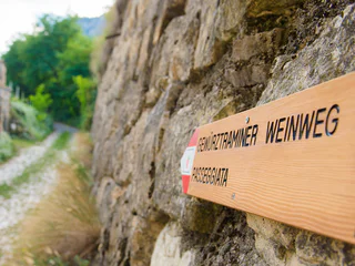 Gewürztraminer Weg - Tramin an der Weinstraße - #3 - suedtirol.info