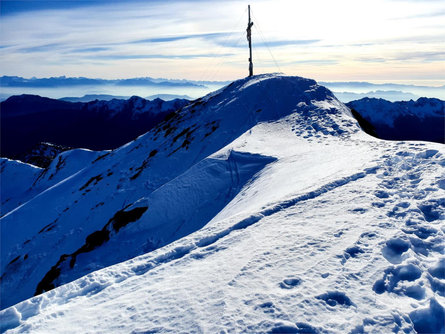 Toursciistica alla Orecchia di Lepre Laces 1 suedtirol.info