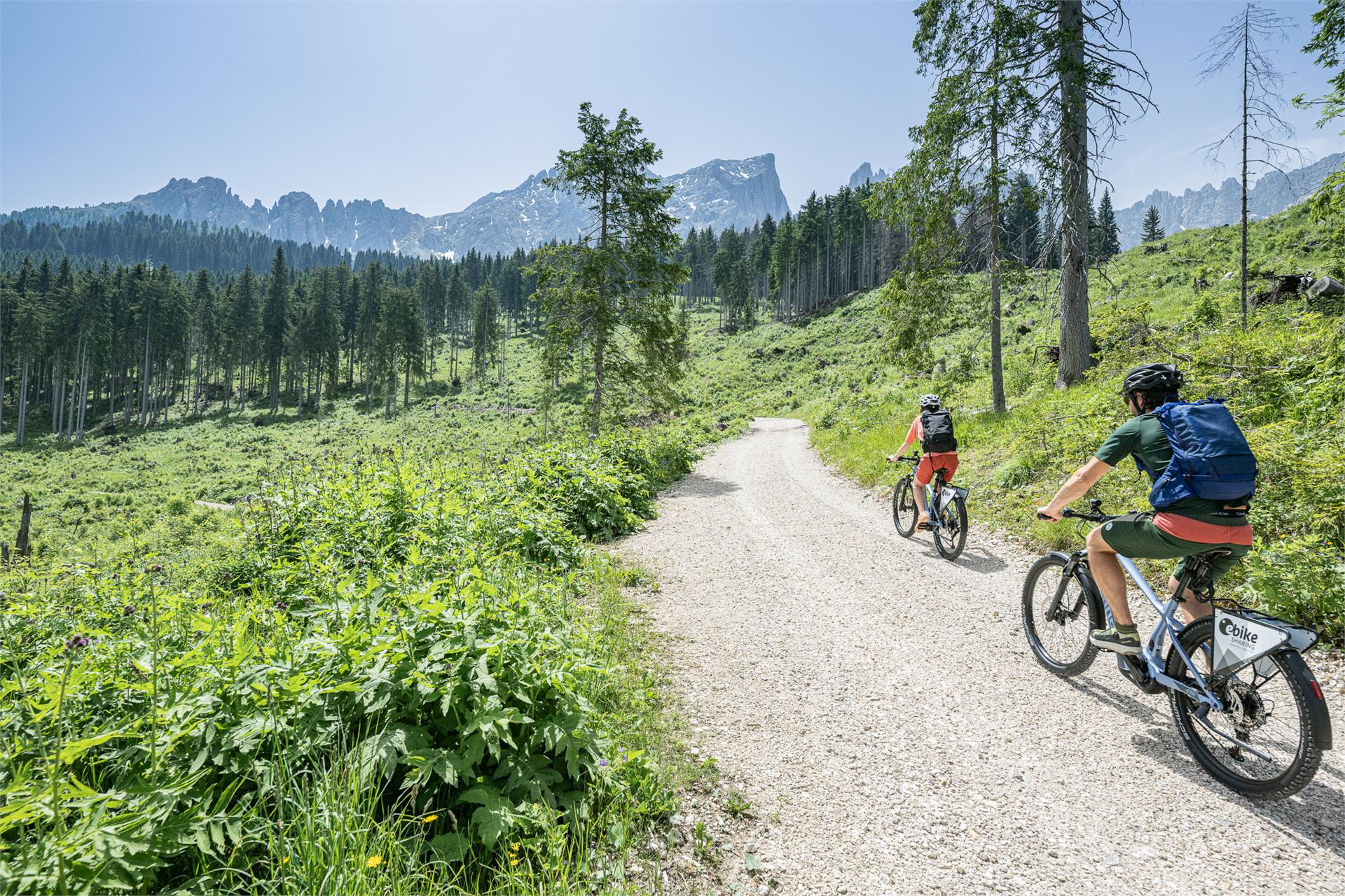 Hike & Bike | Da Obereggen al Lago di Carezza e attraverso il sentiero ...