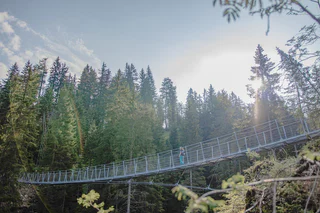 Highlight-Rundwanderung: Karer See – Felslabyrinth Latemar – Eggental Mountain Cinema Latemarwiesen – Karerpass - Welschnofen - #4 - suedtirol.info