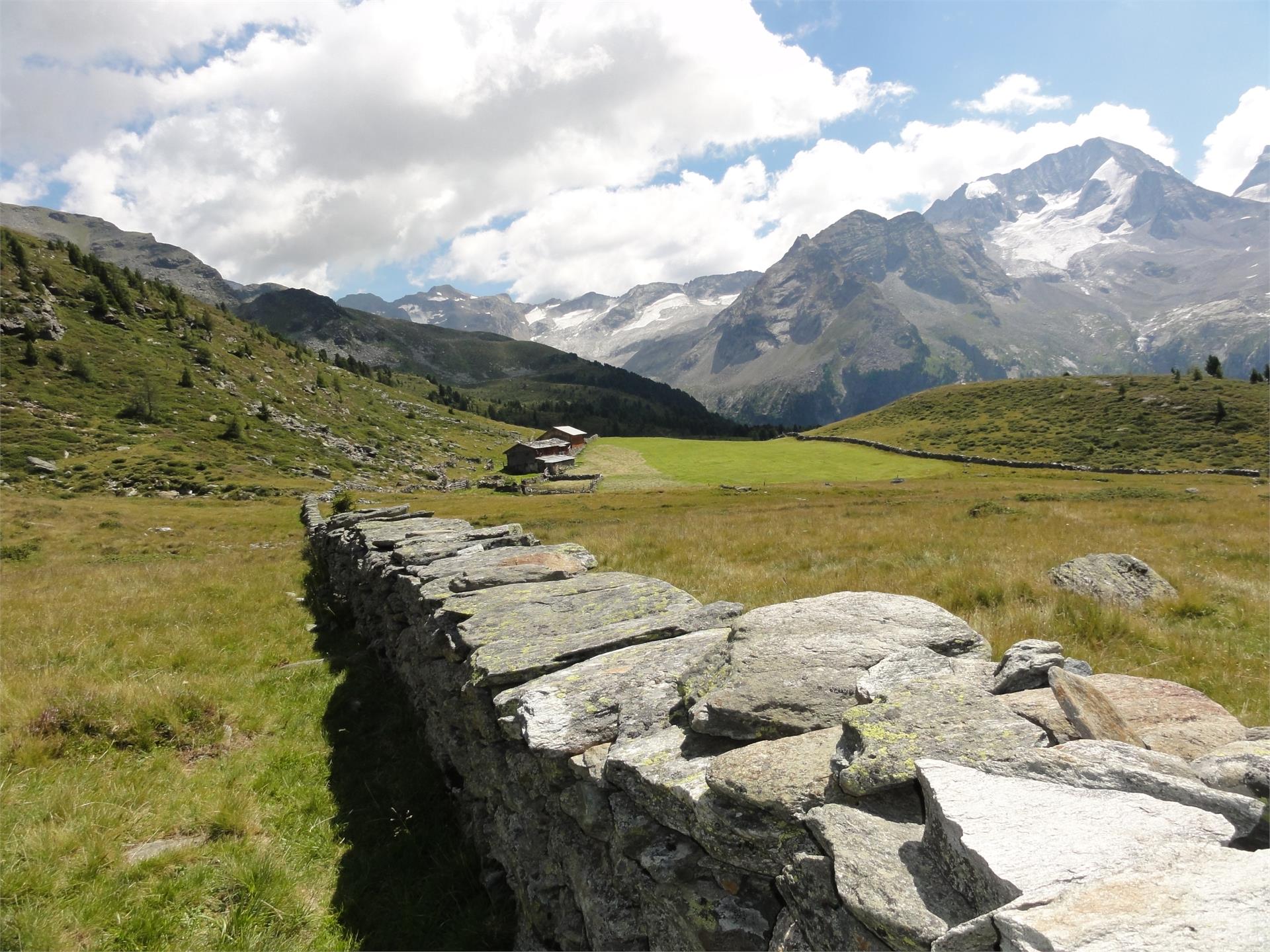 Höhenwanderung Der Arthur-Hartdegen-Weg Sand in Taufers 1 suedtirol.info