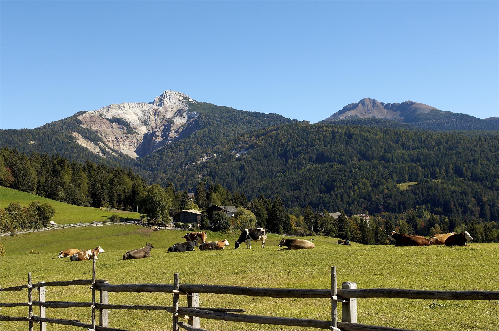 Hoch hinaus über Aldein Branzoll 1 suedtirol.info