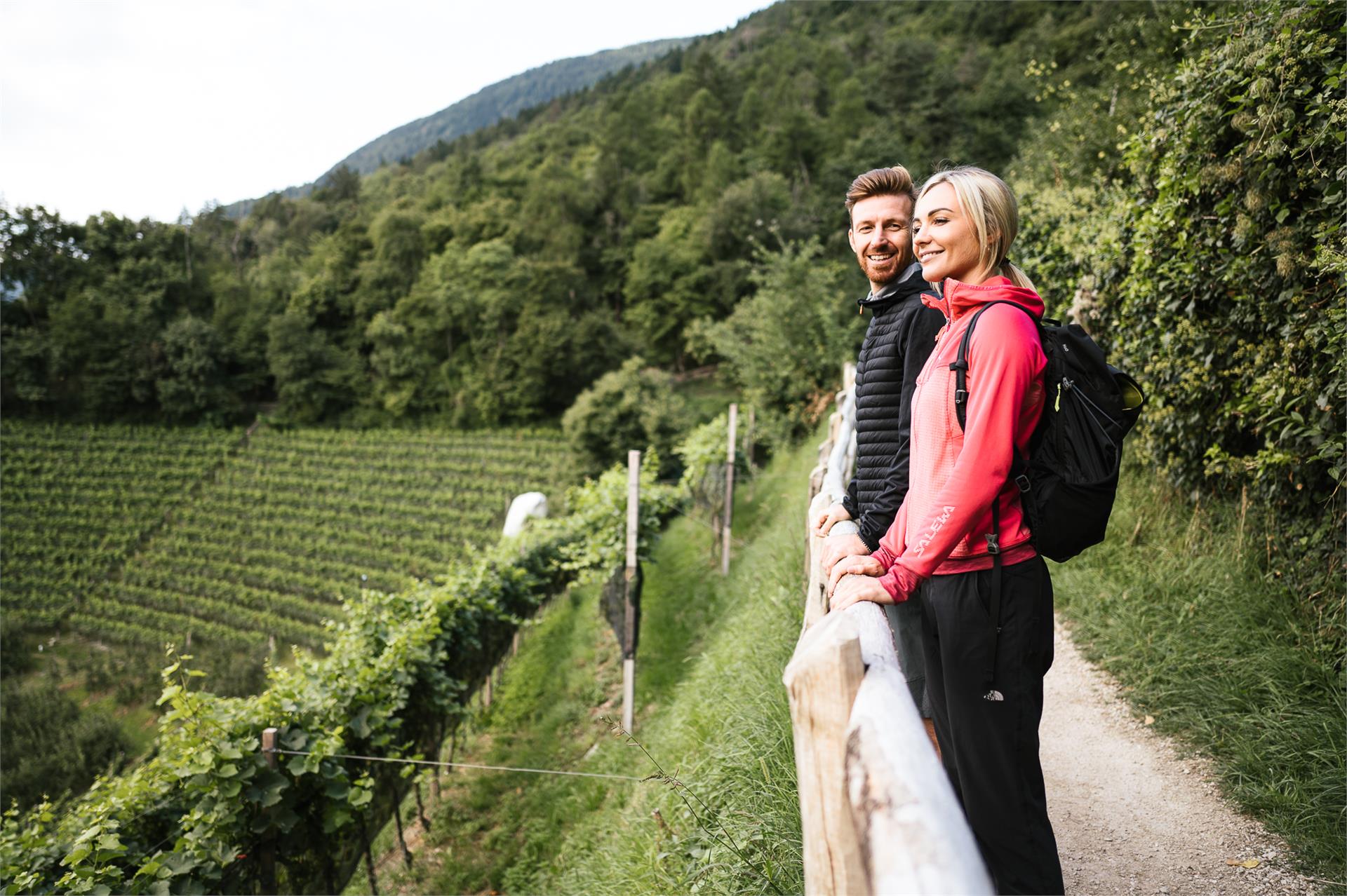 Giro dei masi sul monte di Marlengo Cermes 1 suedtirol.info