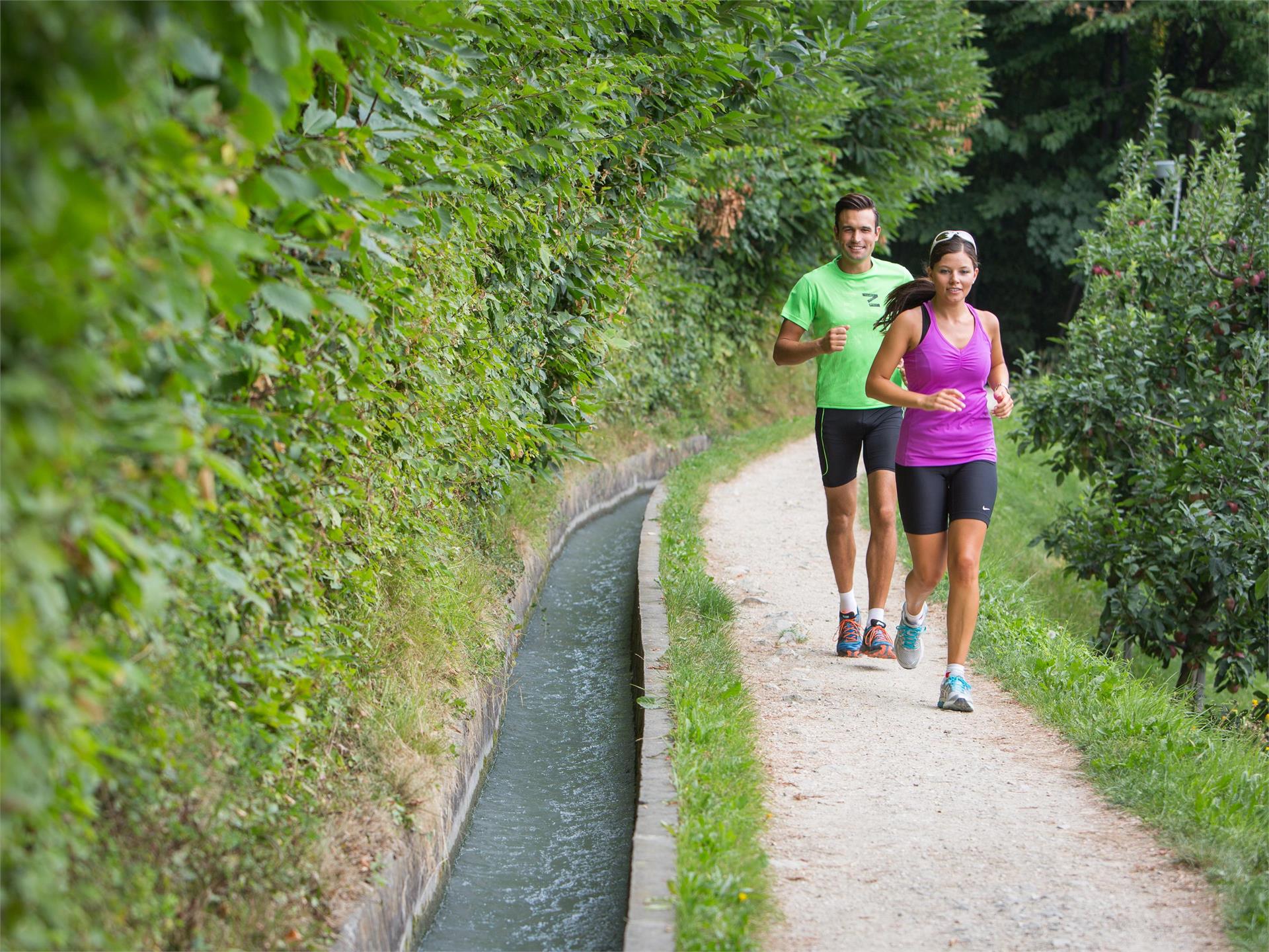 Joggen am Marlinger Waalweg Marling 3 suedtirol.info