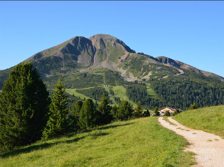 Oclini - Corno Nero round hike Aldein/Aldino 1 suedtirol.info