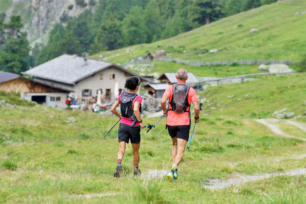 Cima Termine Trail Curon Venosta 1 suedtirol.info