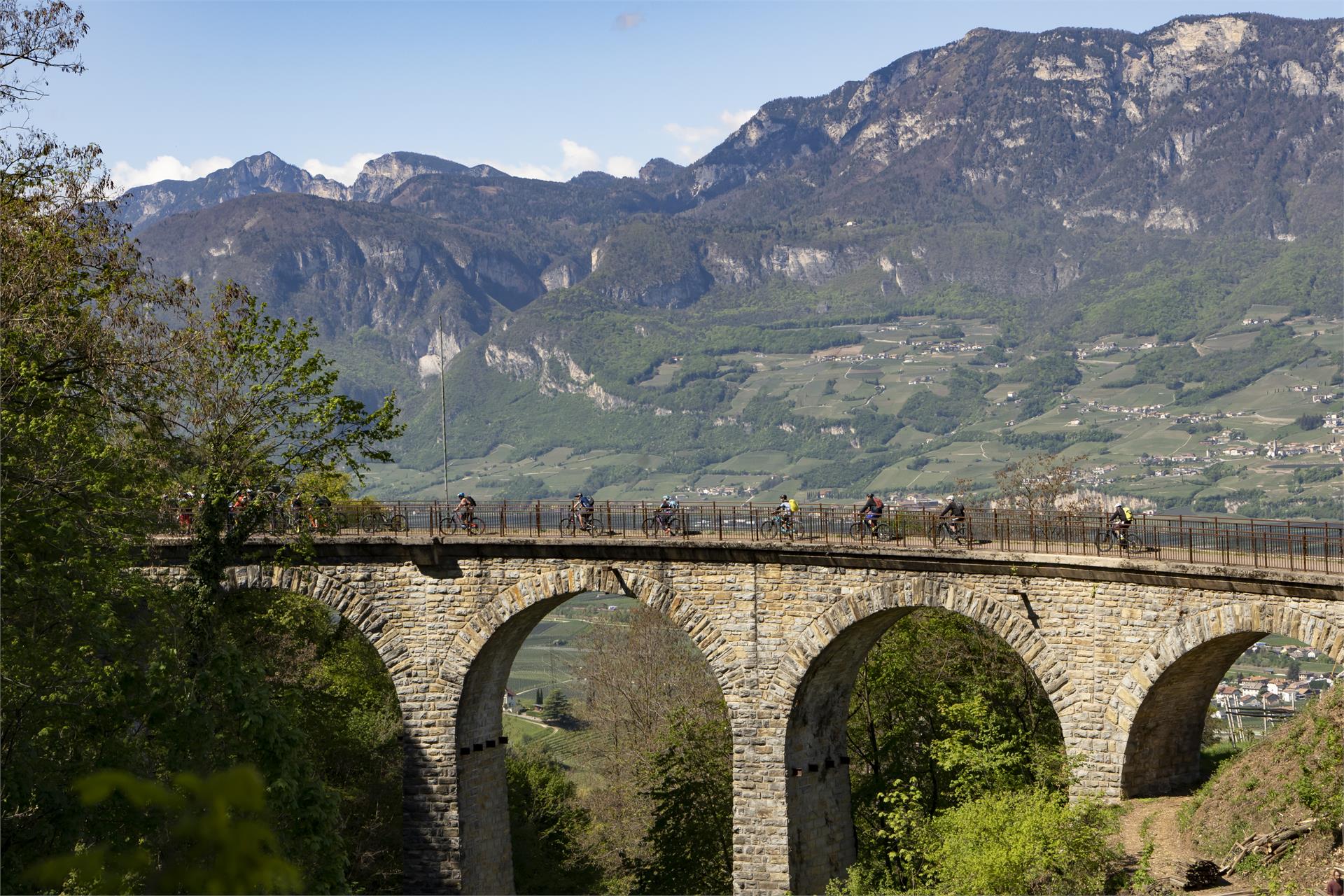 Kaltern Bike MTB-Tour: "Jochgrimm" Kaltern an der Weinstraße/Caldaro sulla Strada del Vino 1 suedtirol.info