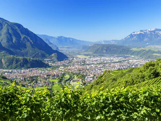 Keschtnweg / Teilstück 5 - Ritten - #4 - suedtirol.info