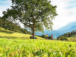 Keschtnweg / Teilstück 5 - Ritten - #7 - suedtirol.info