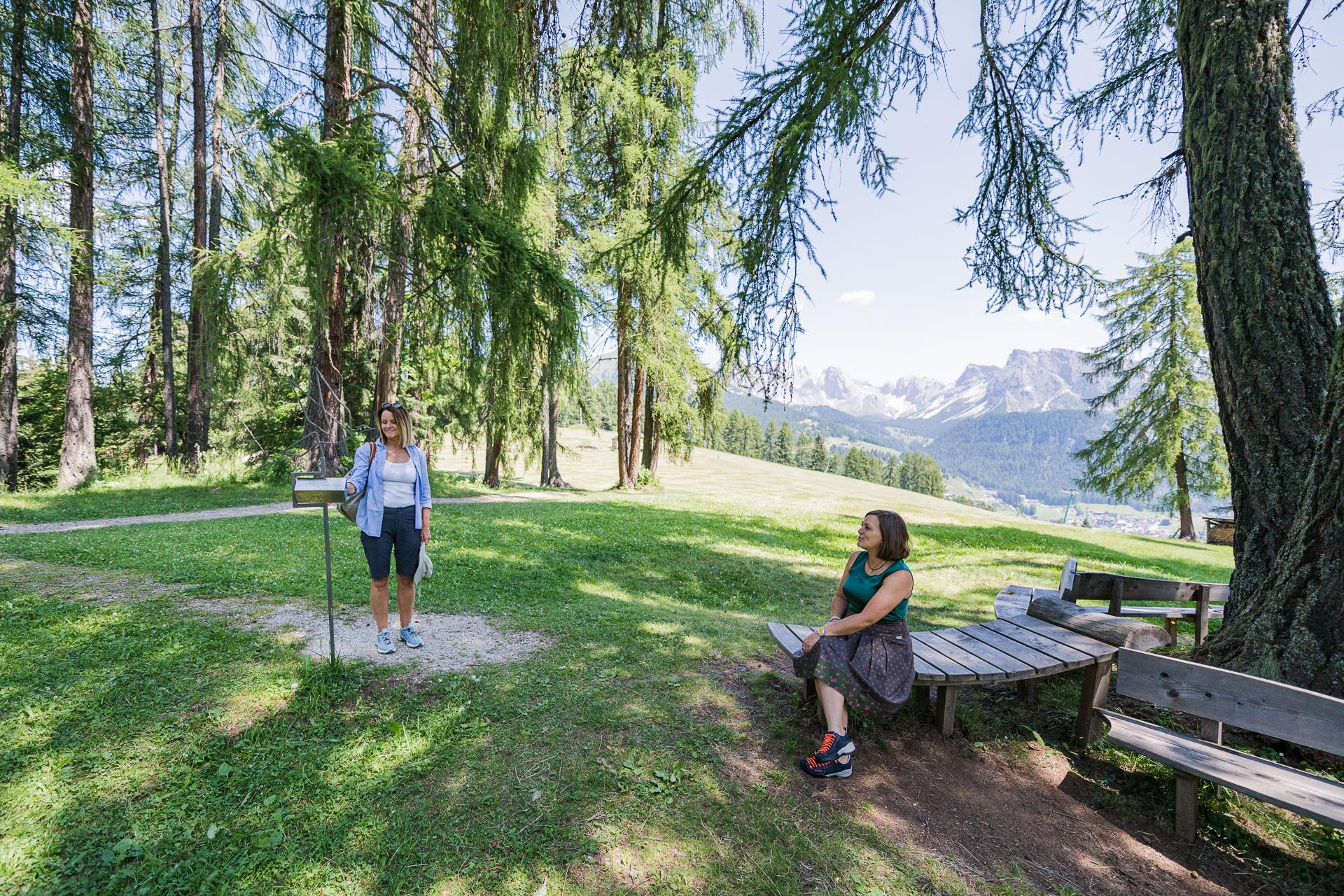 Art & Nature trail - Troi Unika S.Crestina Gherdëina/Santa Cristina Val Gardana 3 suedtirol.info