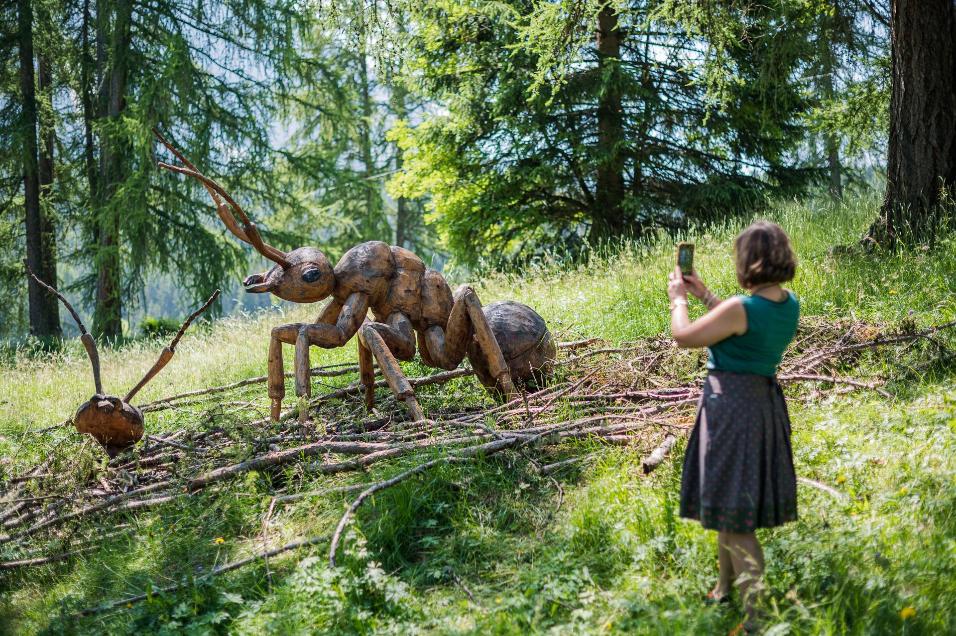 Art & Nature trail - Troi Unika S.Crestina Gherdëina/Santa Cristina Val Gardana 7 suedtirol.info