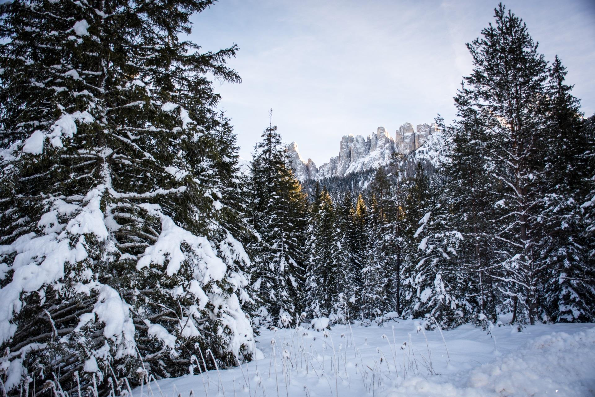 Snowshoe hike from Welschnofen | Nova Levante to Lake Carezza Welschnofen/Nova Levante 2 suedtirol.info