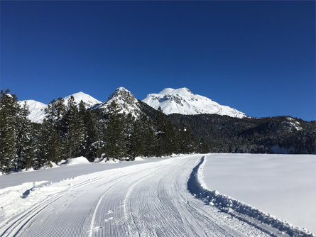 Buffalora cross-country ski trail near the Ofen Pass Taufers im Münstertal/Tubre 1 suedtirol.info