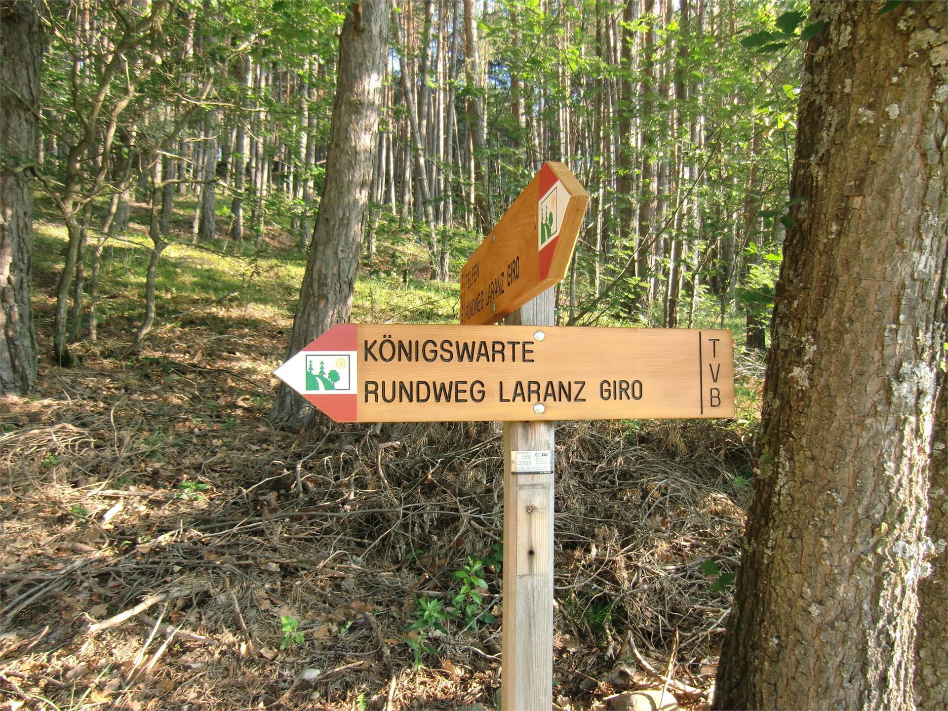 Da Siusi attraverso la Valle Ganar nella Foresta Laranz Castelrotto 4 suedtirol.info